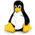 Linux Networking